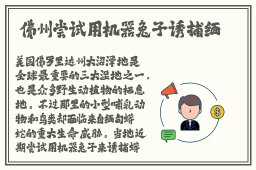 东北乡村女rapper乱轮母子